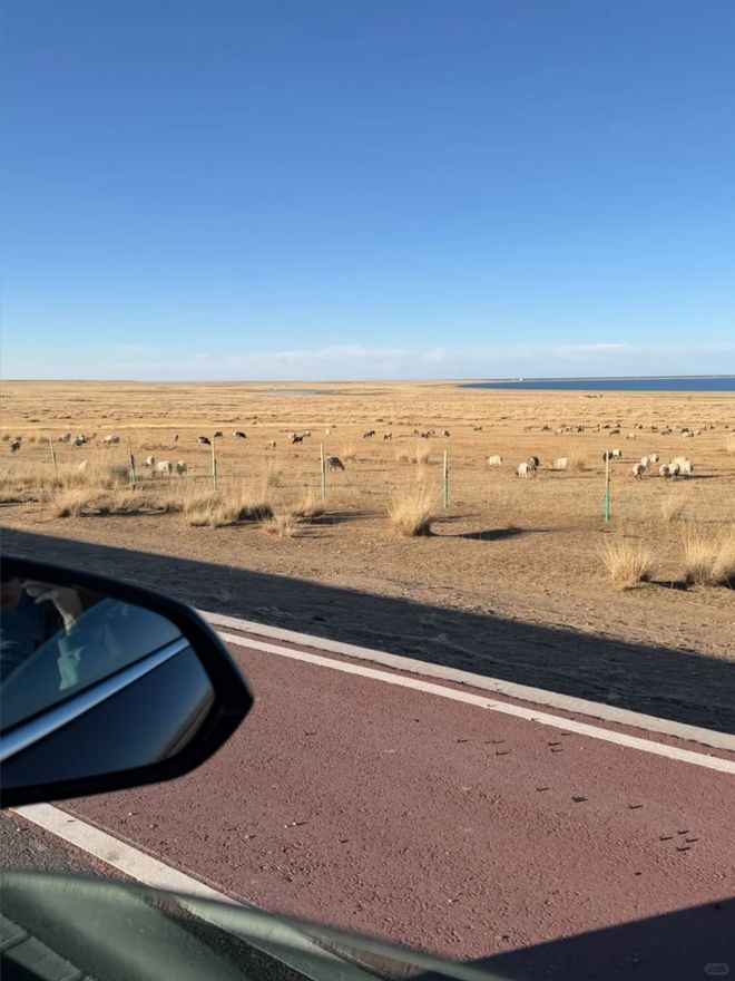 西北旅游七日纯玩大概多少钱西北7天6晚青甘环线干货一篇看懂(图3)