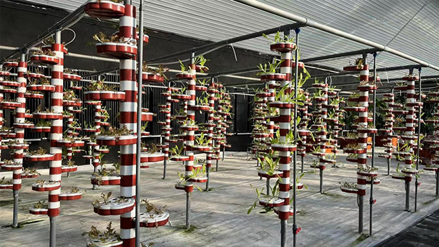 兴安盟乌兰浩特市：直播助农百人团 让乡土好货乘“数”远航(图3)