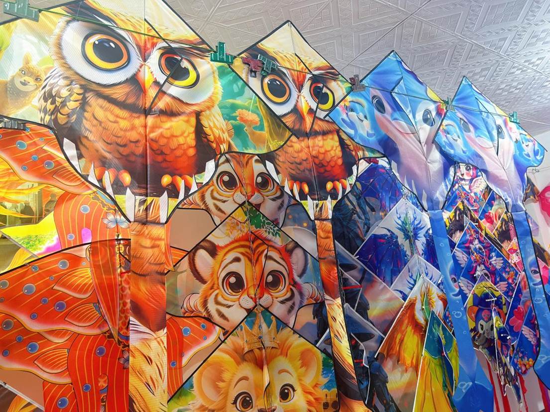 我的家乡有特产丨一根风筝线牵起亿元链(图2)