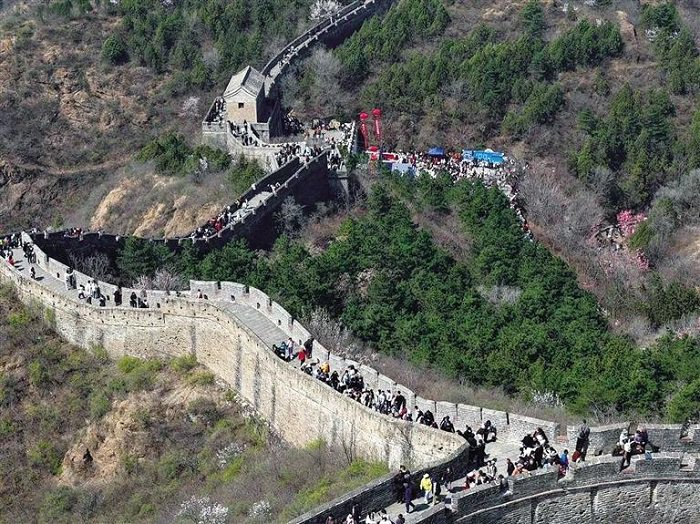 承德赏花经济激活春日消费新动能(图1)