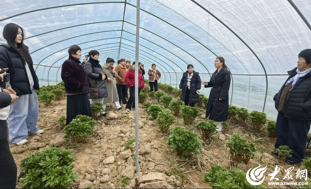 菏泽市牡丹区黄堽镇“芳华计划”：解码“三生三世”志愿服务模式 激活留守女性的“她力量”_牡丹区_大众网(图3)