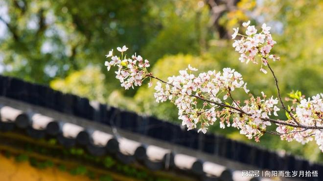 人到半生才通透觉醒：5 条真相藏着生活的答案(图3)