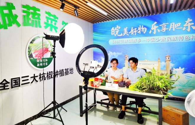 和美乡村直播间丨直播为笔 绘就乡富民安新画卷(图3)