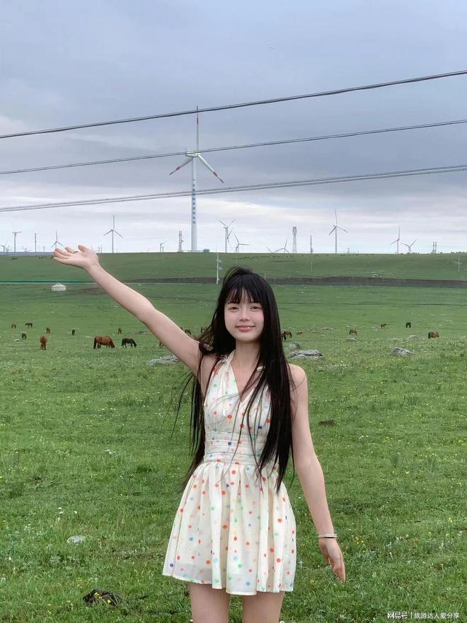 呼和浩特旅游景点怎么预约门票朋友5天4晚省钱通道及折扣时间(图2)