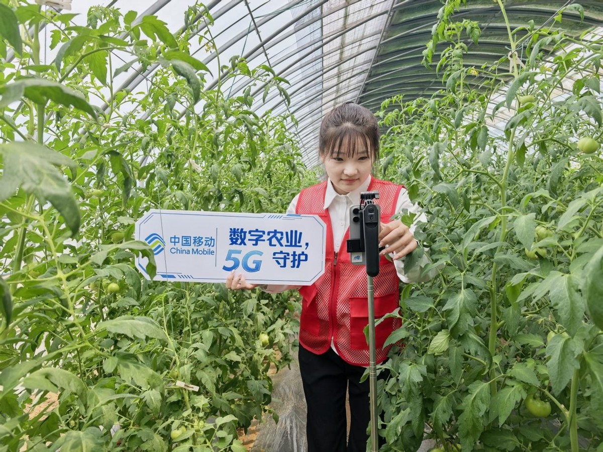 田间云上拓销路 山东移动诸城分公司直播赋能乡村产业(图2)