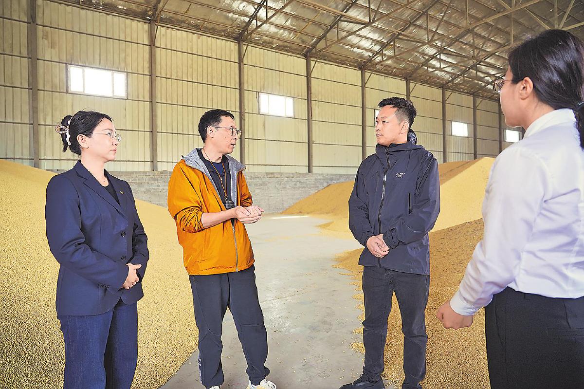 黑土地上的“大豆法则”(图1)