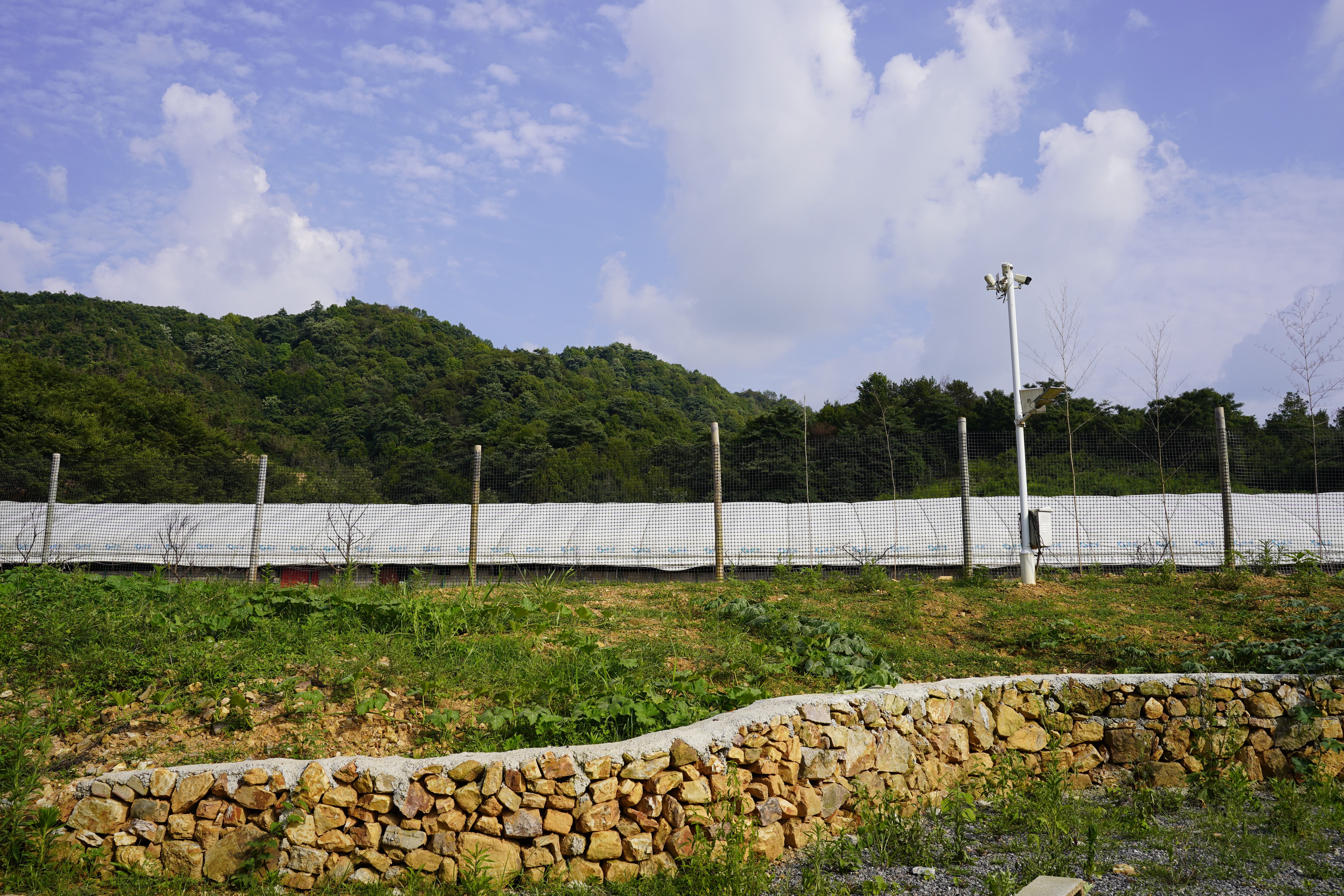 2026年新发布：电商渠道如何精准对接优质皖南土鸡蛋土特产(图1)