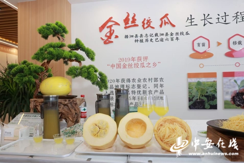 皖美好物 从“土特产”到“金名片”金丝绞瓜的出圈记(图1)