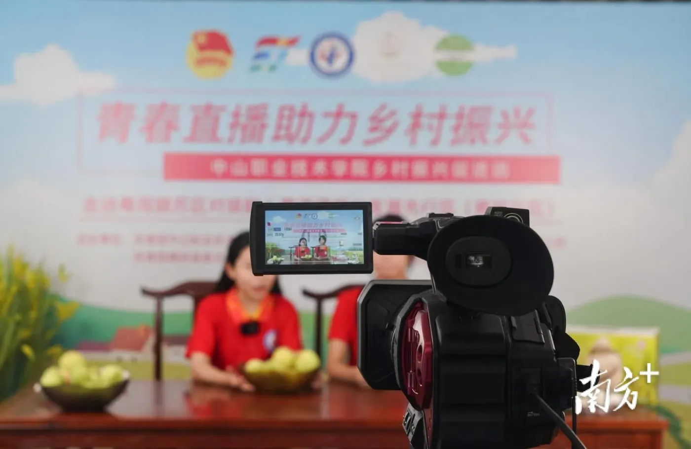 贵州罗甸：直播带货蜂糖李 拓宽农户增收路(图1)