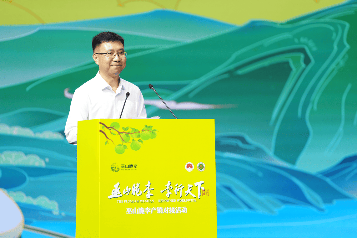 巫山脆李产销对接活动在京举行巴渝名优土特产开启全国市场新征程(图3)