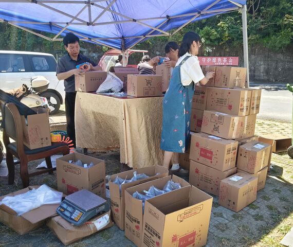 云端拓销路 果香飘四方——歙县桂林镇创新模式开展直播助农(图2)