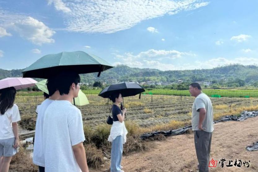 广财青年踏访兴宁市叶塘镇助力丝苗米产业发展与农文旅融合振兴(图2)