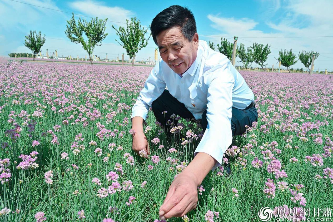 坐拥全球独一份“牛”得嘞甘肃武威“食”力圈粉(图2)