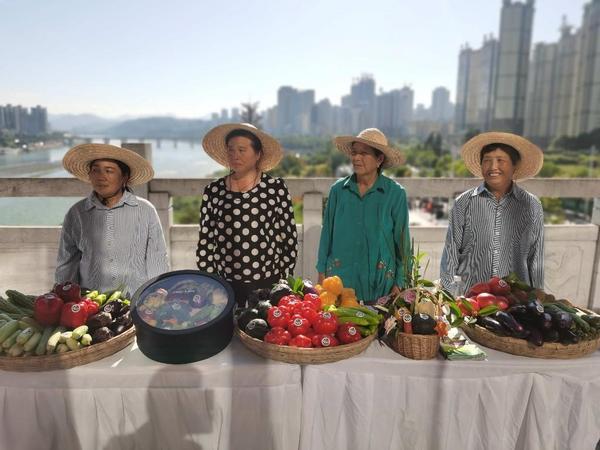 柳林县高家沟乡开启特色种植新天地(图1)