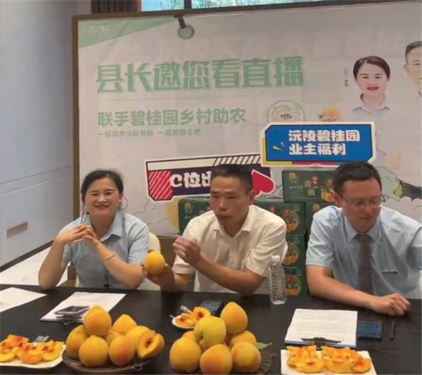 鲁甘协作搭平台 直播赛事促振兴 第二届甘肃省“甘味”直播大赛山东分会场在济南启幕(图1)