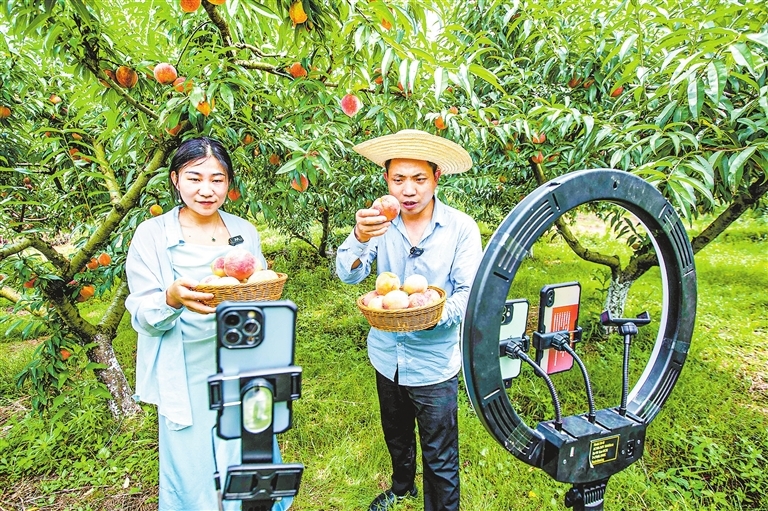 护航雄商高铁通车山东移动菏泽分公司圆满完成直播专线保障任务(图1)