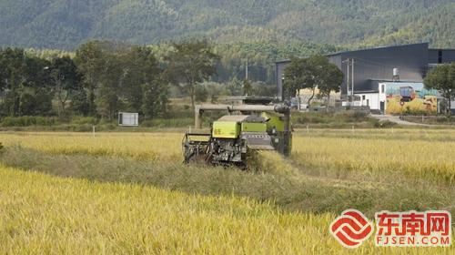 全省粮油规模种植主体单产提升暨“稻-再-油”模式推广现场观摩会在浦城召开(图1)