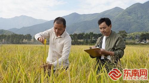 全省粮油规模种植主体单产提升暨“稻-再-油”模式推广现场观摩会在浦城召开(图3)