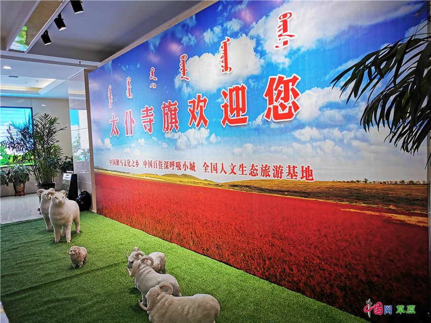 年销售额400万!内蒙古“网红”带火草原特产