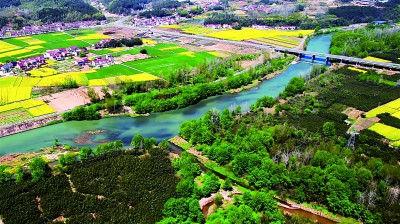 湖北省远安县鸣凤镇北门村：竹林遍野绿生金(图1)