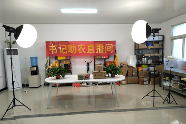 安徽肥东：社区书记直播带货助农增收促振兴(图1)