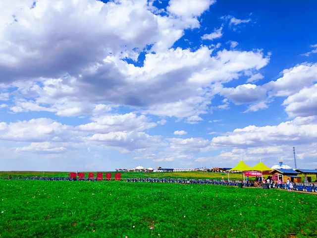 内蒙古江艾商贸“口口情”瓜子从地域特产化为品牌IP的实践(图1)