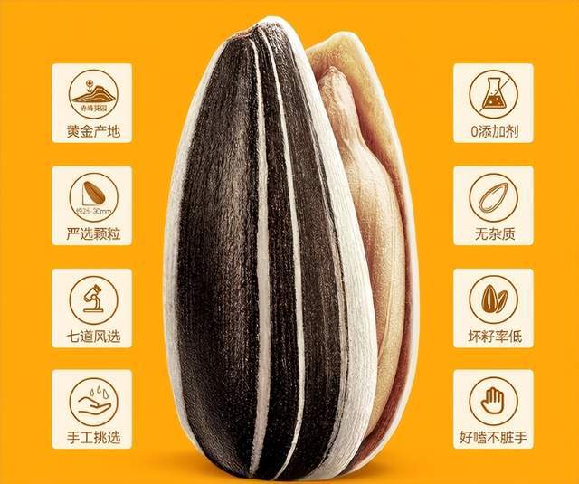 内蒙古江艾商贸“口口情”瓜子从地域特产化为品牌IP的实践(图2)