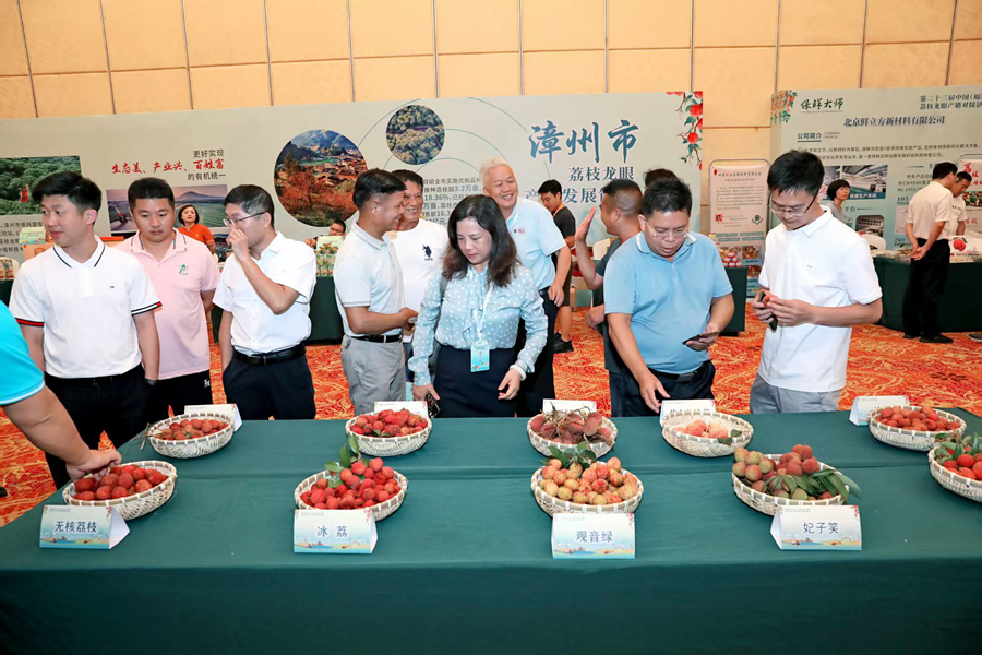 第二十三届中国（福建）荔枝龙眼产销对接活动在漳州举办(图2)