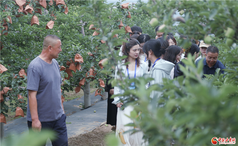 青春华章·重走西北角：在新时代奏响青春之歌 让正能量澎湃西部大地(图6)