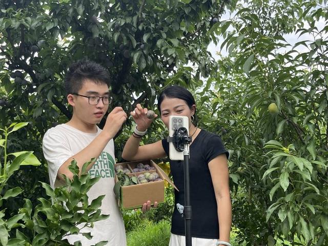 四川盐亭：李子搭上带货快车 一个月卖出20万单(图1)