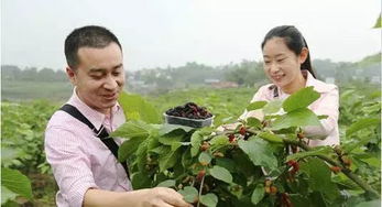 农村搞什么项目挣钱(图1)