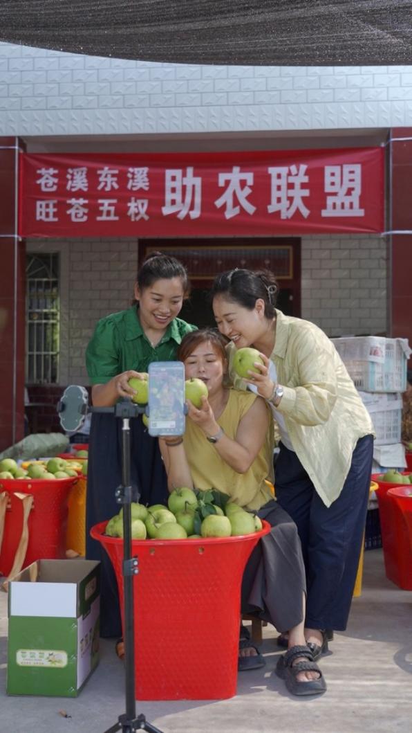 “村主播”们上了“线”“云端”发展靠党建(图1)