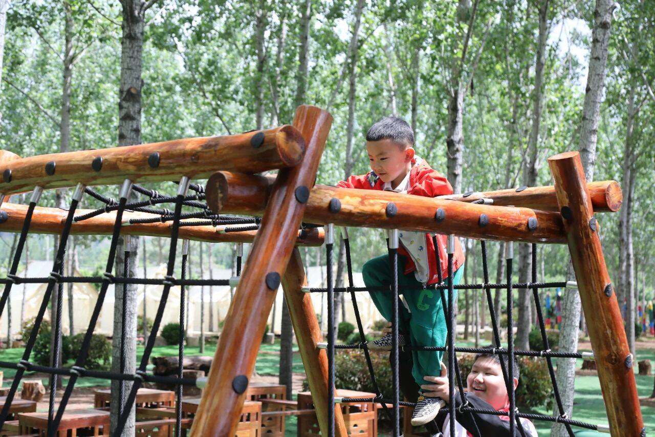 小蜜桃”变身“致富果” 枣庄市市中区以三产融合蹚出乡村振兴共富路(图3)