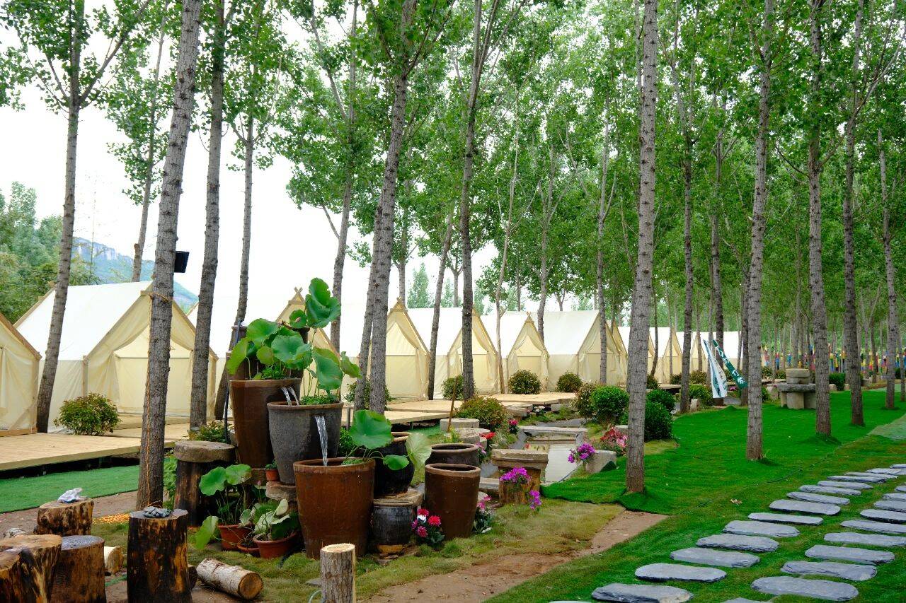 小蜜桃”变身“致富果” 枣庄市市中区以三产融合蹚出乡村振兴共富路(图4)