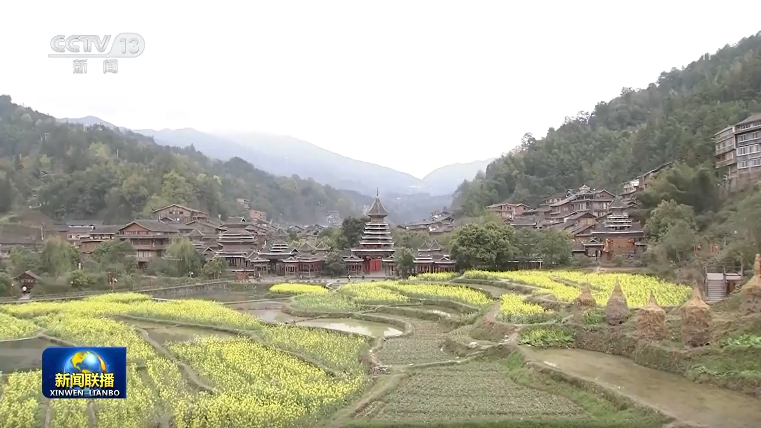 【新思想引领新征程】打造乡村特色产业 推进乡村全面振兴(图2)