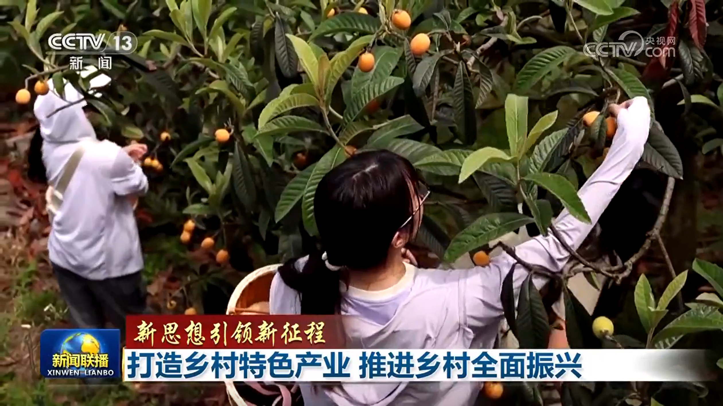 【新思想引领新征程】打造乡村特色产业 推进乡村全面振兴(图3)