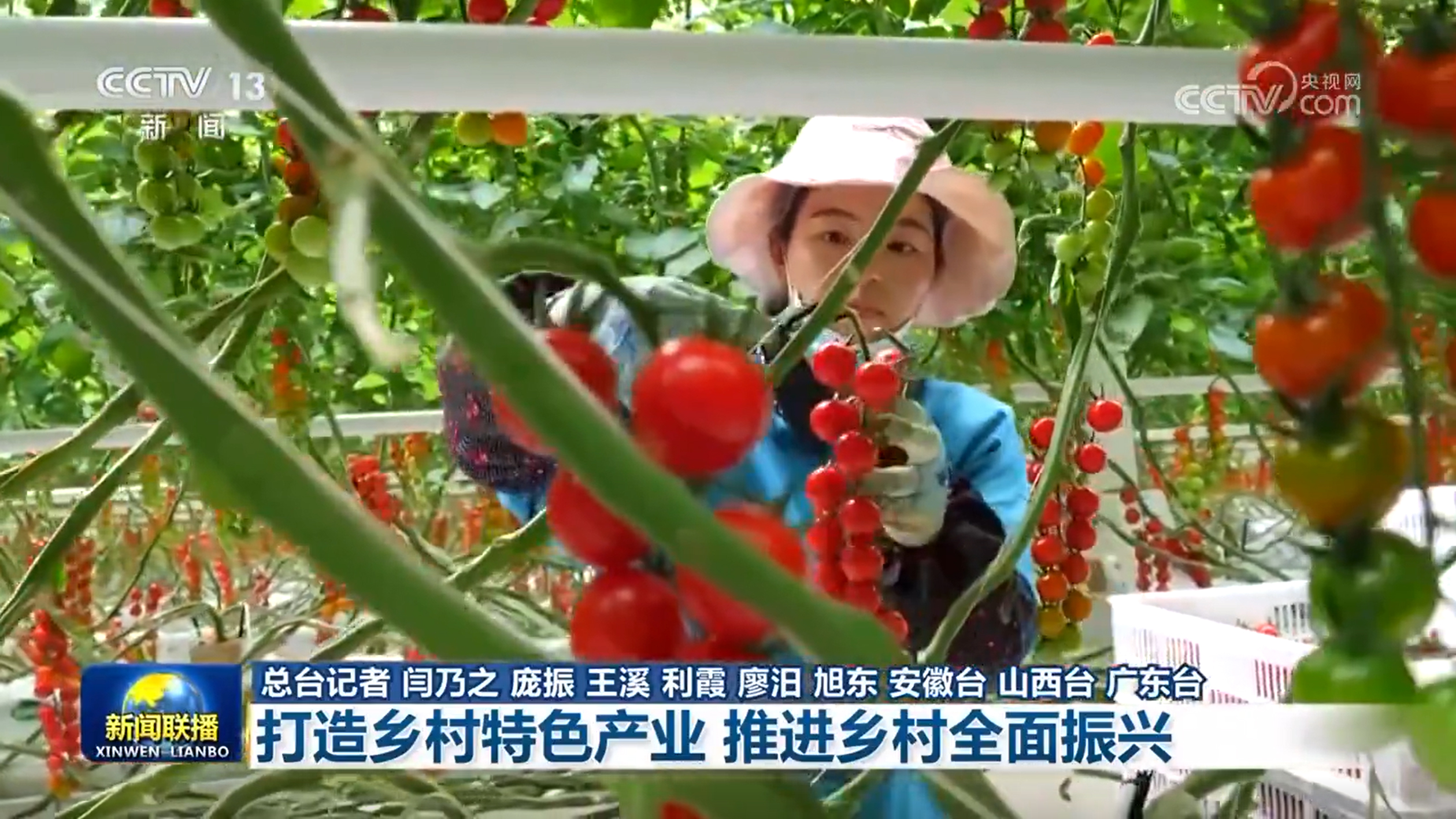 【新思想引领新征程】打造乡村特色产业 推进乡村全面振兴(图6)