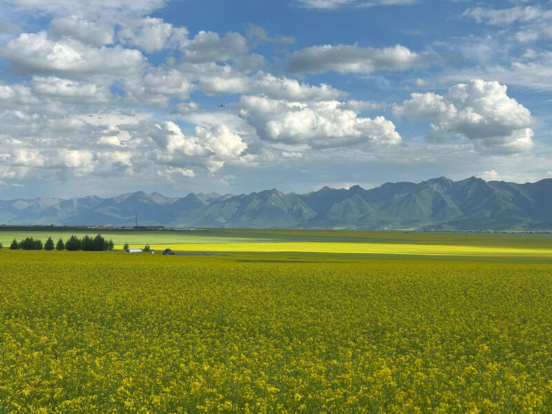 活力中国调研行 青海特色农牧业走出“链”上增值路(图1)