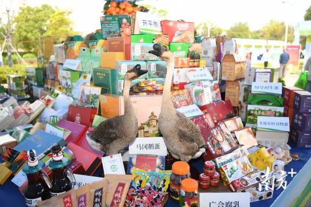 手机变农具！江门“媒体+”让土特产成网红货(图2)