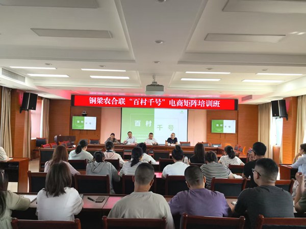 构建“百村千号”电商矩阵 打通农产品“产供销”全链条(图2)