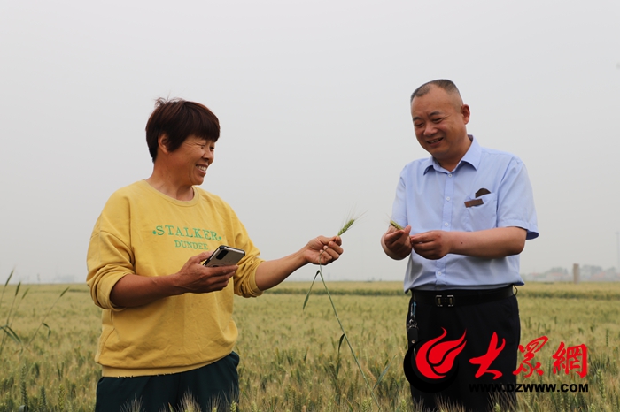 郓城农商银行：“六举措”助力“三夏”颗粒归仓_焦点新闻_大众网(图1)