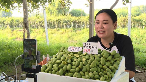 从“愁卖”到“爆单”莒县政府直播平台助企拓销路(图1)