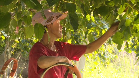 从“愁卖”到“爆单”莒县政府直播平台助企拓销路(图3)