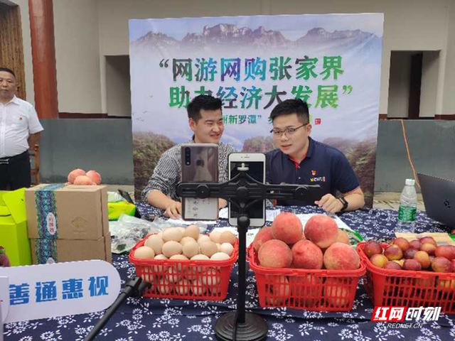 桂粤湘四市举行产销对接活动 推动农产品直达大湾区(图1)