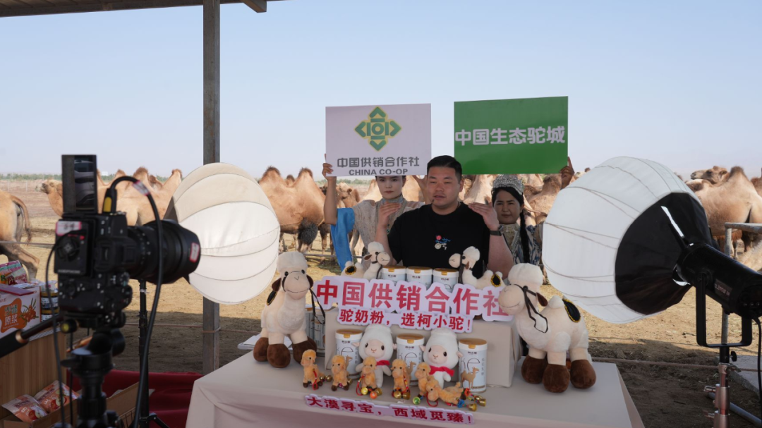 数字赋能 “戈壁驼乡” 柯坪县农文旅融合激活乡村振兴新动能(图1)