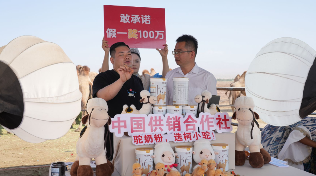 数字赋能 “戈壁驼乡” 柯坪县农文旅融合激活乡村振兴新动能(图2)