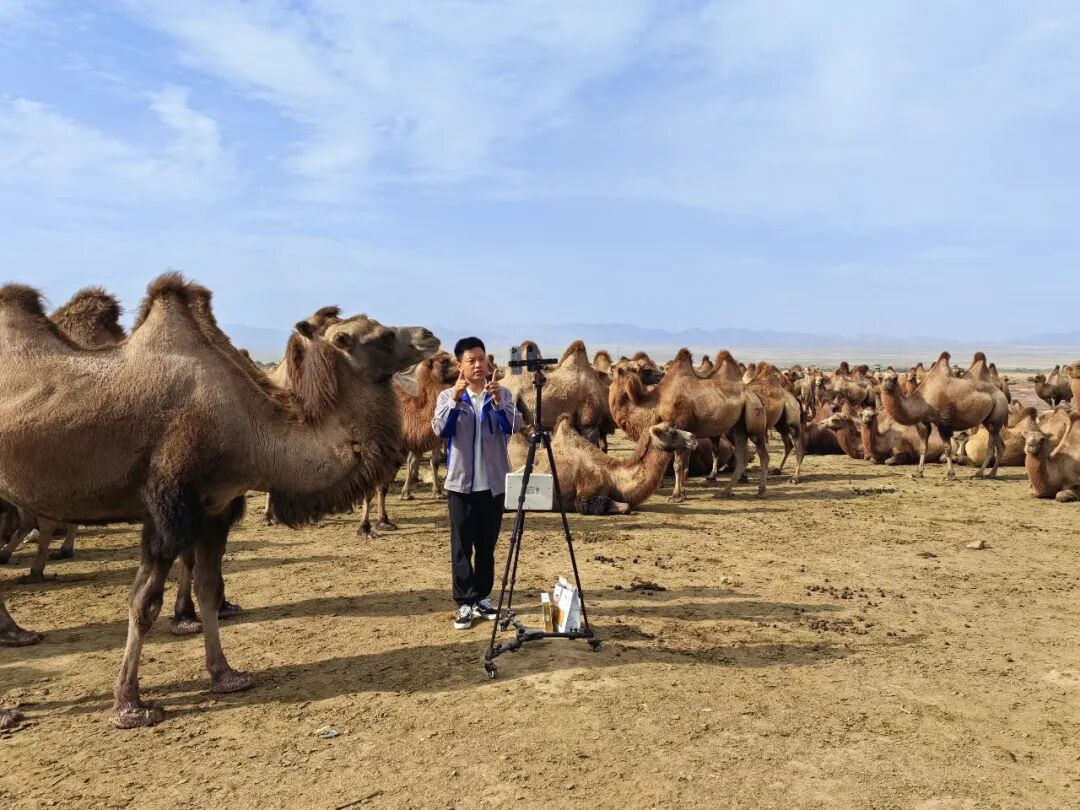 数字赋能 “戈壁驼乡” 柯坪县农文旅融合激活乡村振兴新动能(图4)