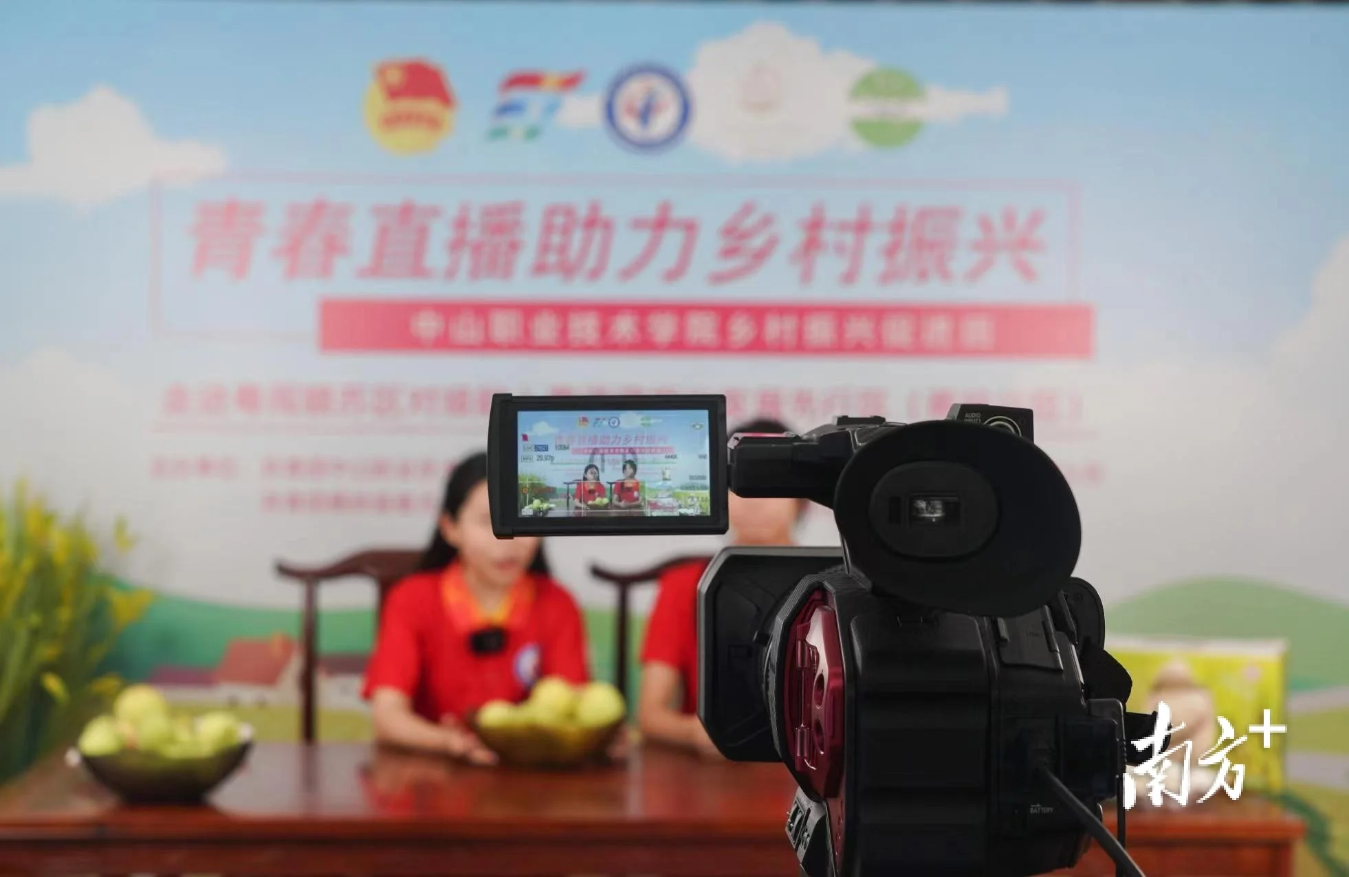 保亭：电商经济助力特色农产品远销全国(图1)