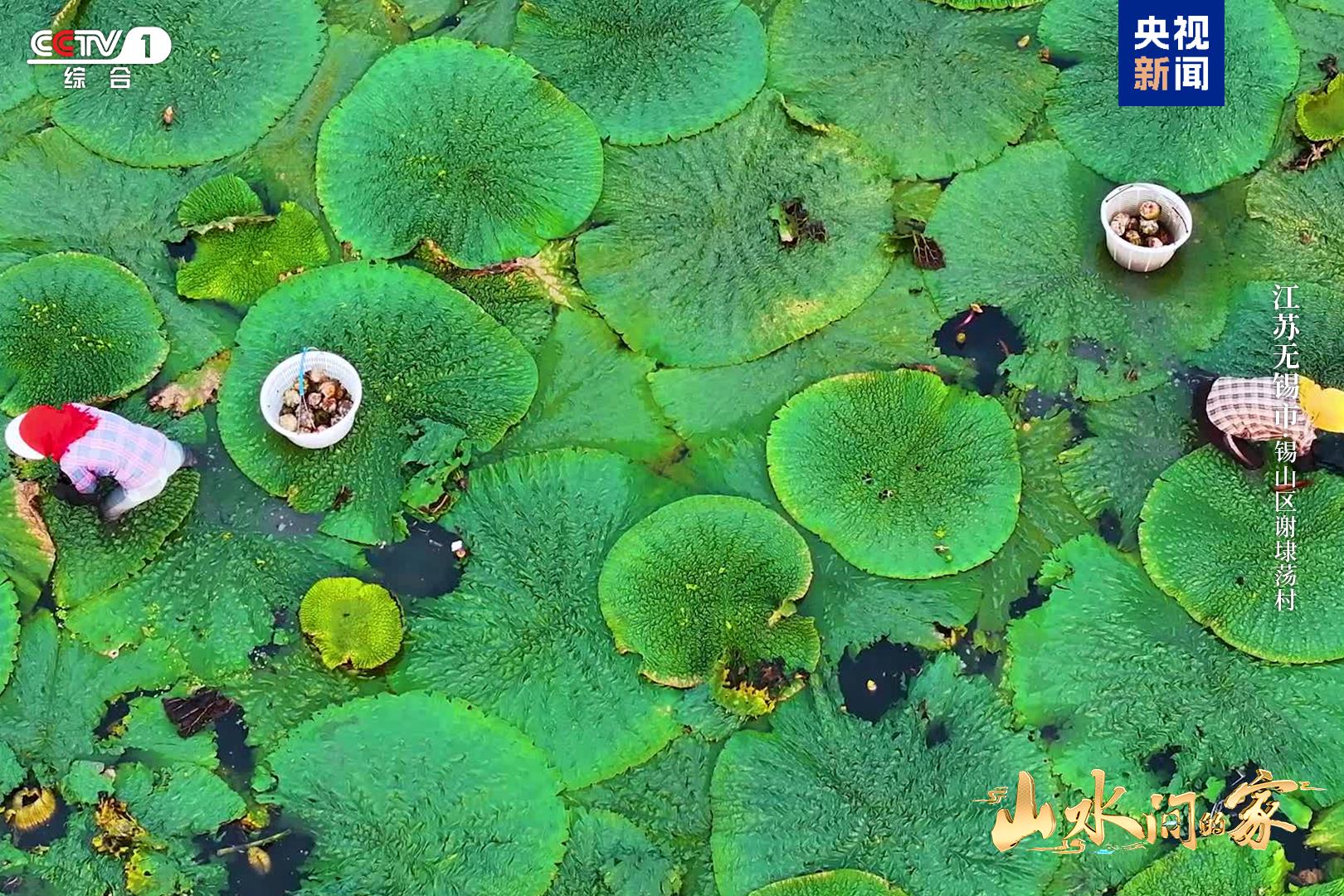 《山水间的家》新一季治愈回归与您共赴山海新程(图2)