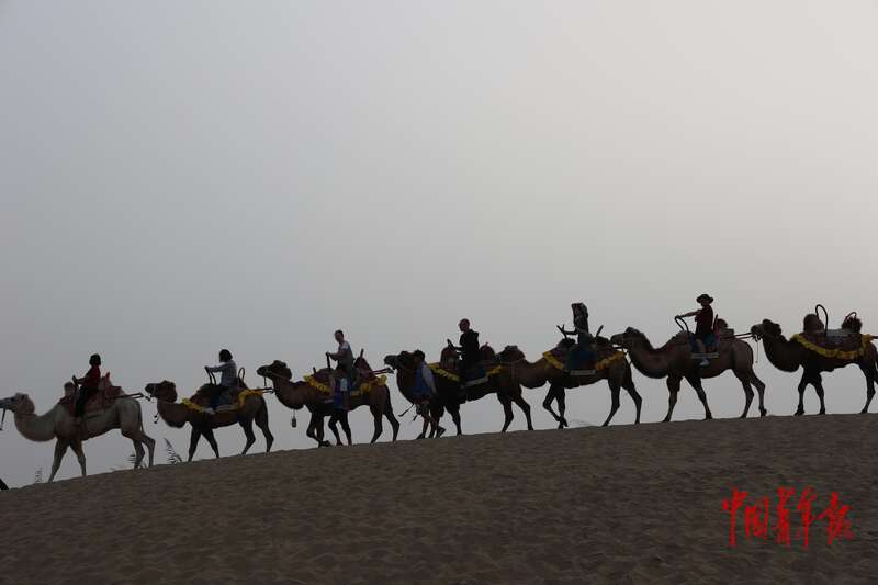 新疆尉犁：这里有风情更有奋斗(图12)